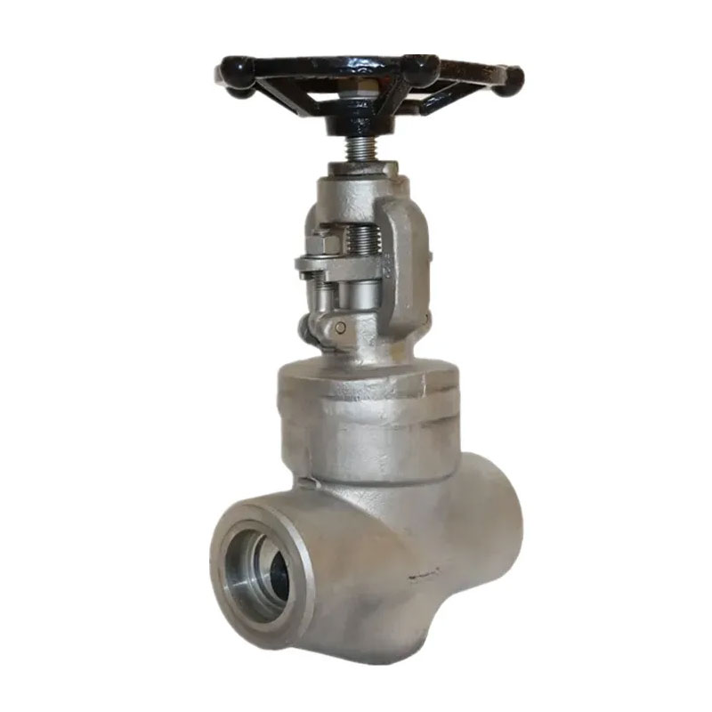 Ổ cắm thép không gỉ hàn Bonney Forge Globe Valve