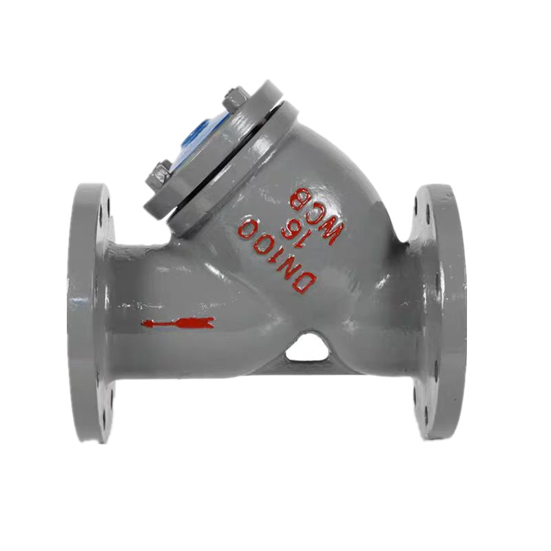 DIN PN16 Lọc thép vách ngăn Y