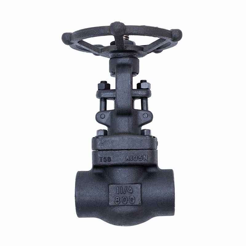 Van cổng rèn 800LBS