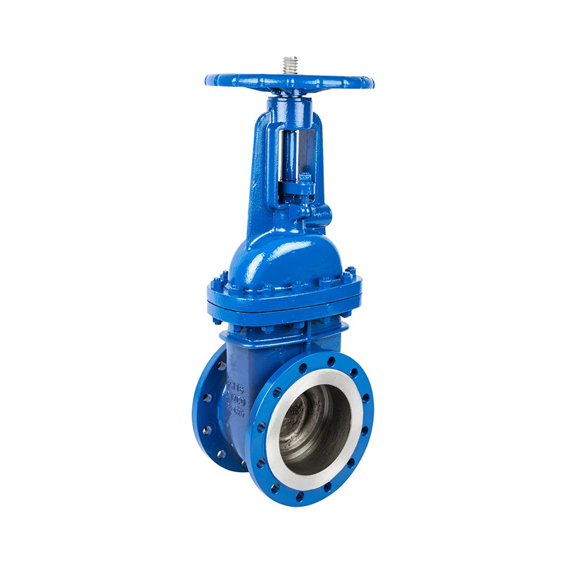 GS-C25 WCB Steel DIN Van mặt đường mặt bích PN16