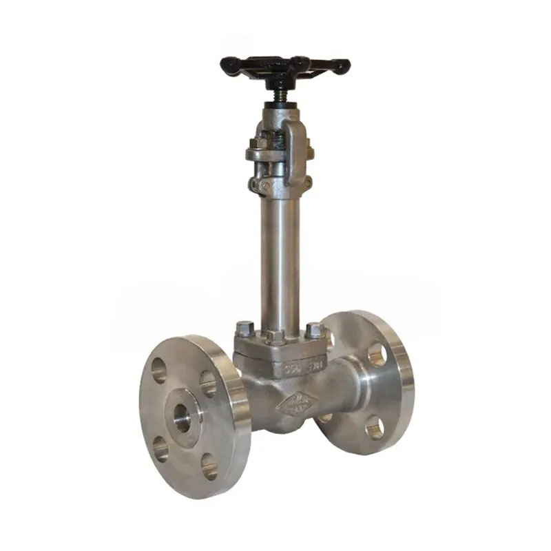Nhiệt độ thấp van cryogen rèn