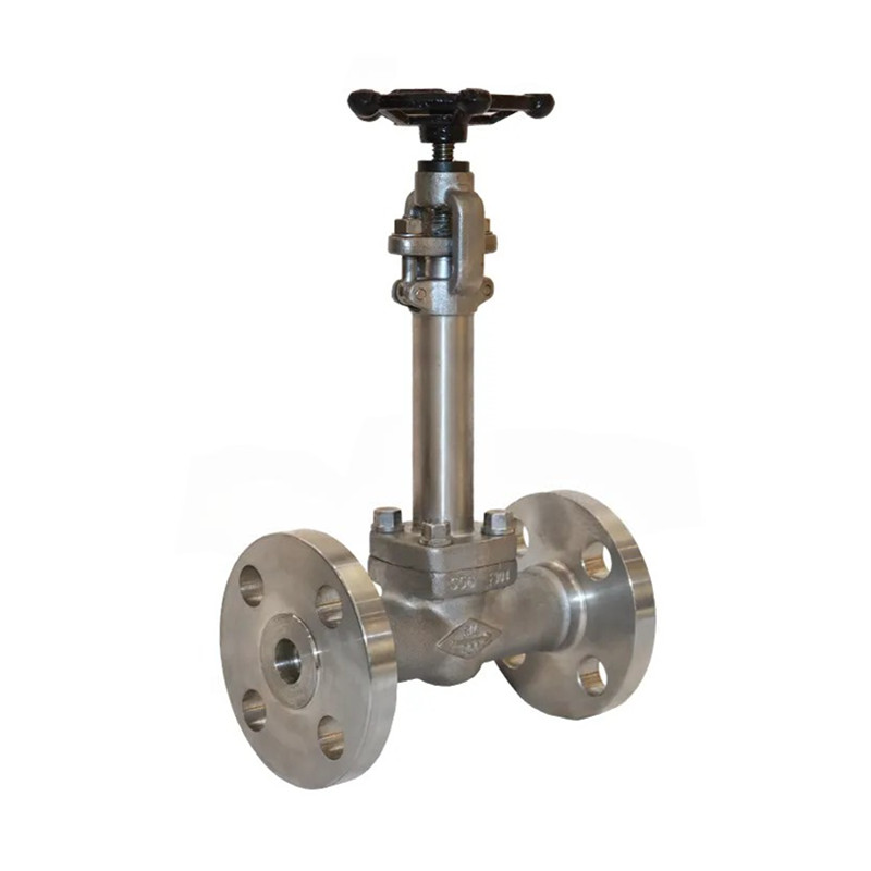 Nhiệt độ thấp rèn van cryogen bằng thép Cryogenic