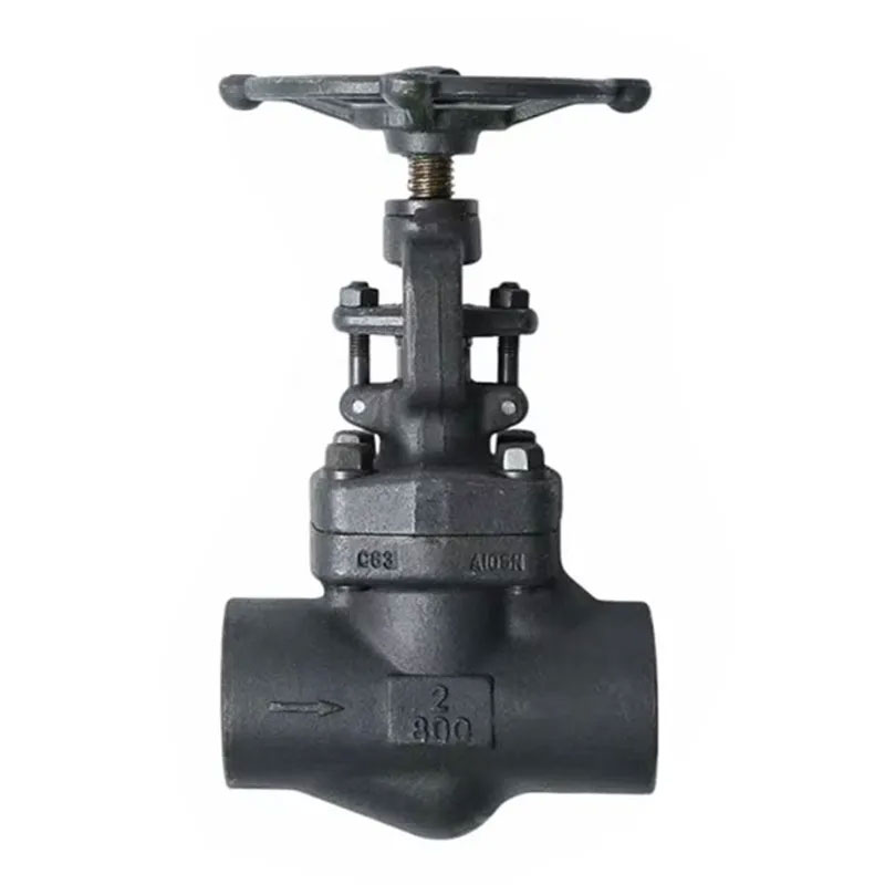 API 602 Các kết thúc rèn Van cầu được giả mạo lớp 800